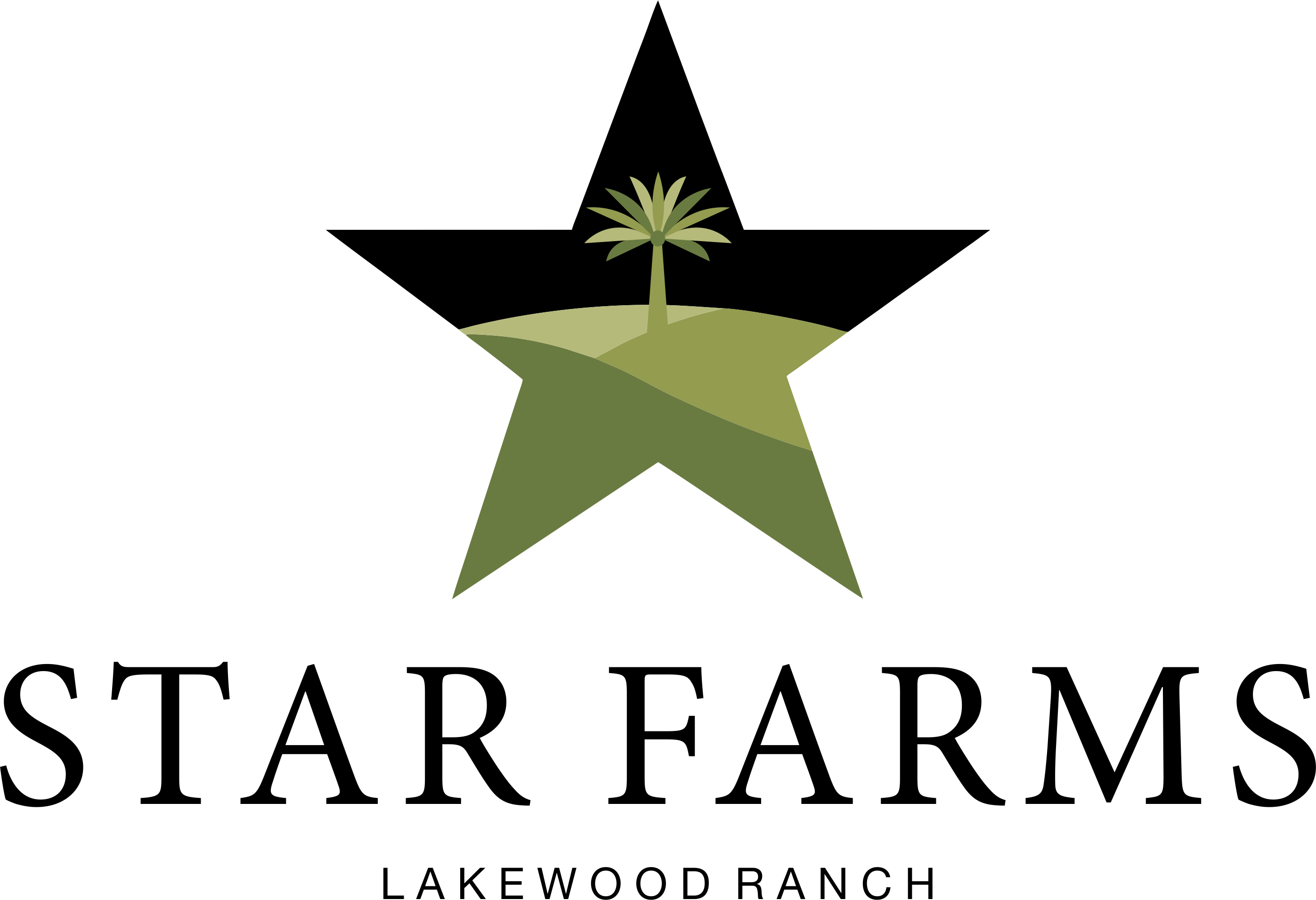 Alison Goser Sarasota Real Estate Expert - Star Farms Neighborhood.